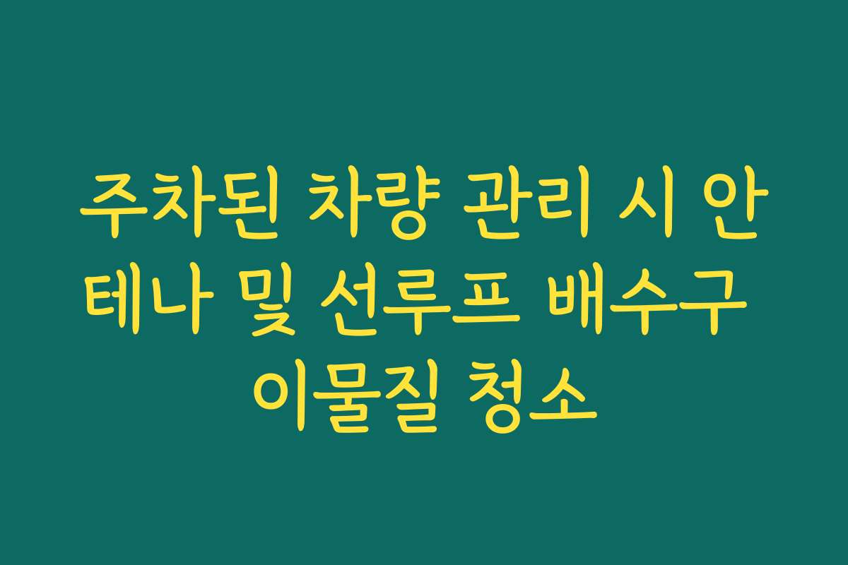 주차된 차량 관리 시 안테나 및 선루프 배수구 이물질 청소