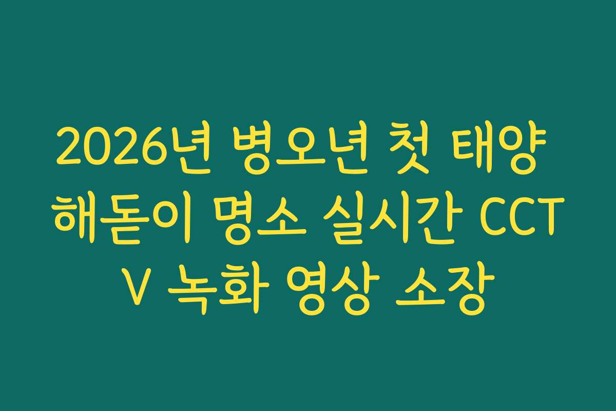 2026년 병오년 첫 태양 해돋이 명소 실시간 CCTV 녹화 영상 소장