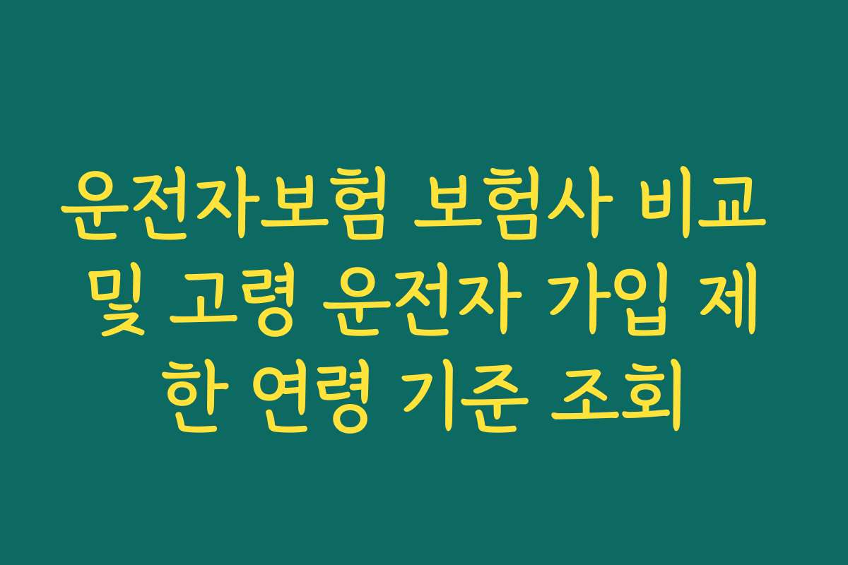 운전자보험 보험사 비교 및 고령 운전자 가입 제한 연령 기준 조회