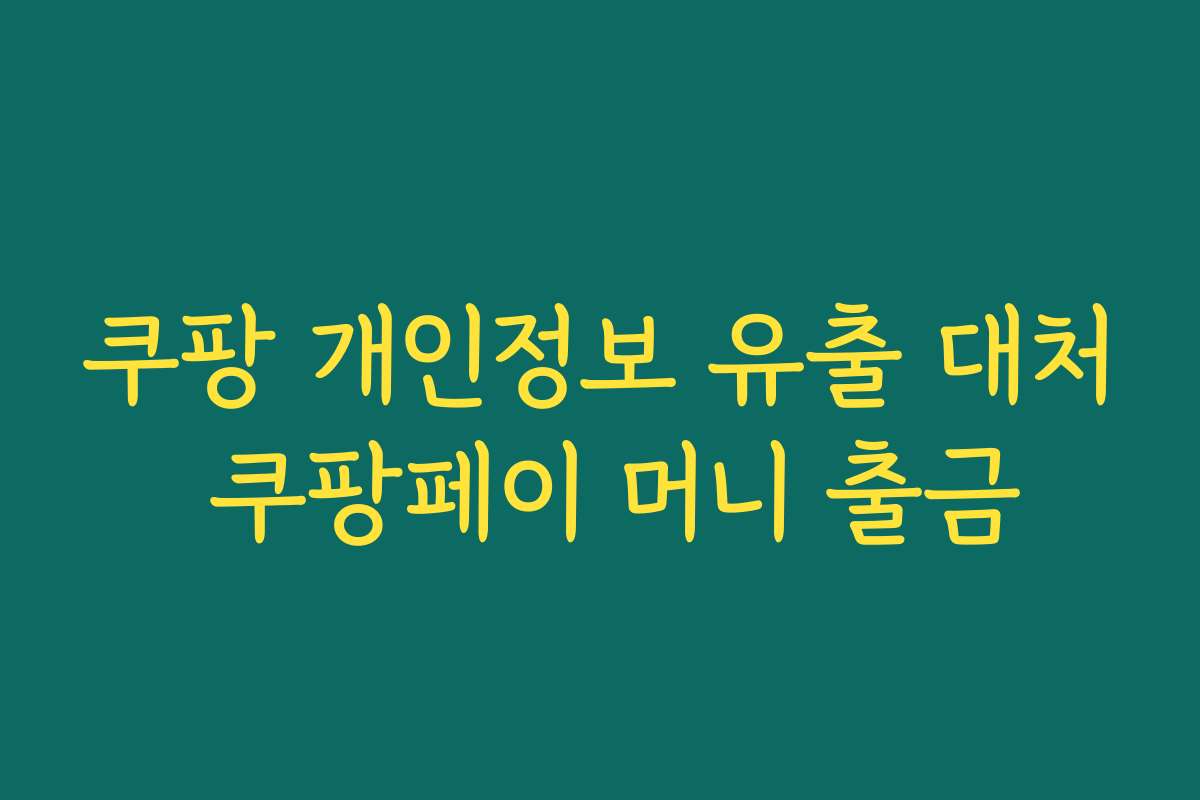 쿠팡 개인정보 유출 대처 쿠팡페이 머니 출금