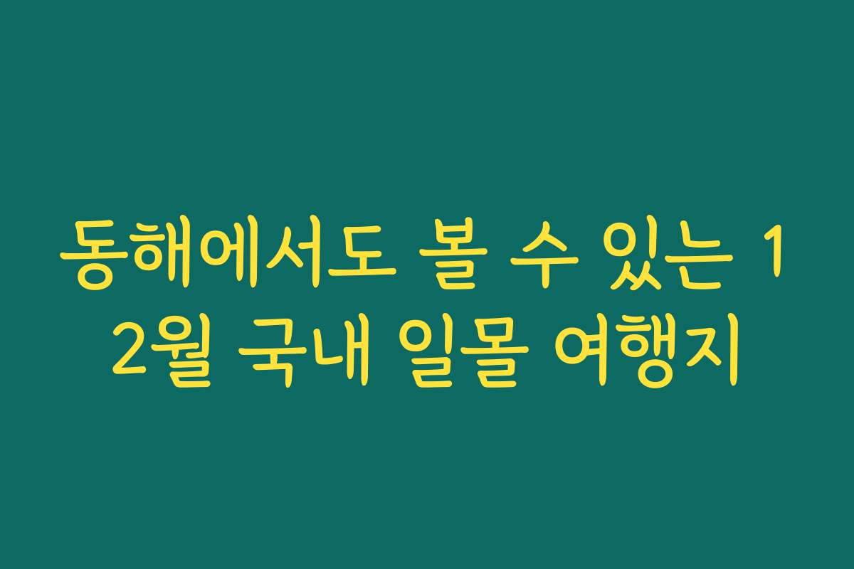 동해에서도 볼 수 있는 12월 국내 일몰 여행지