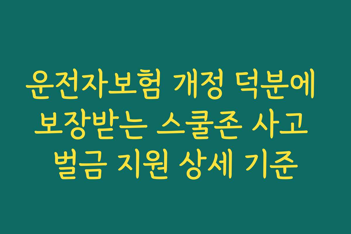 운전자보험 개정 덕분에 보장받는 스쿨존 사고 벌금 지원 상세 기준