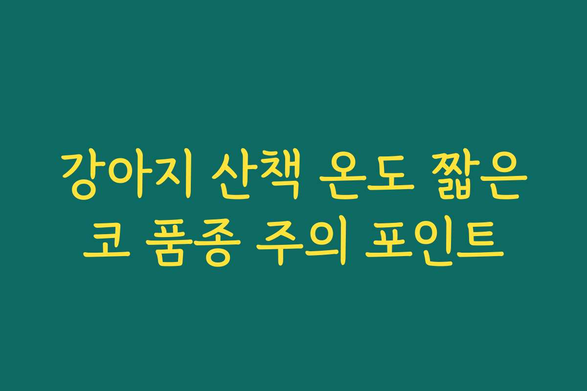 강아지 산책 온도 짧은코 품종 주의 포인트