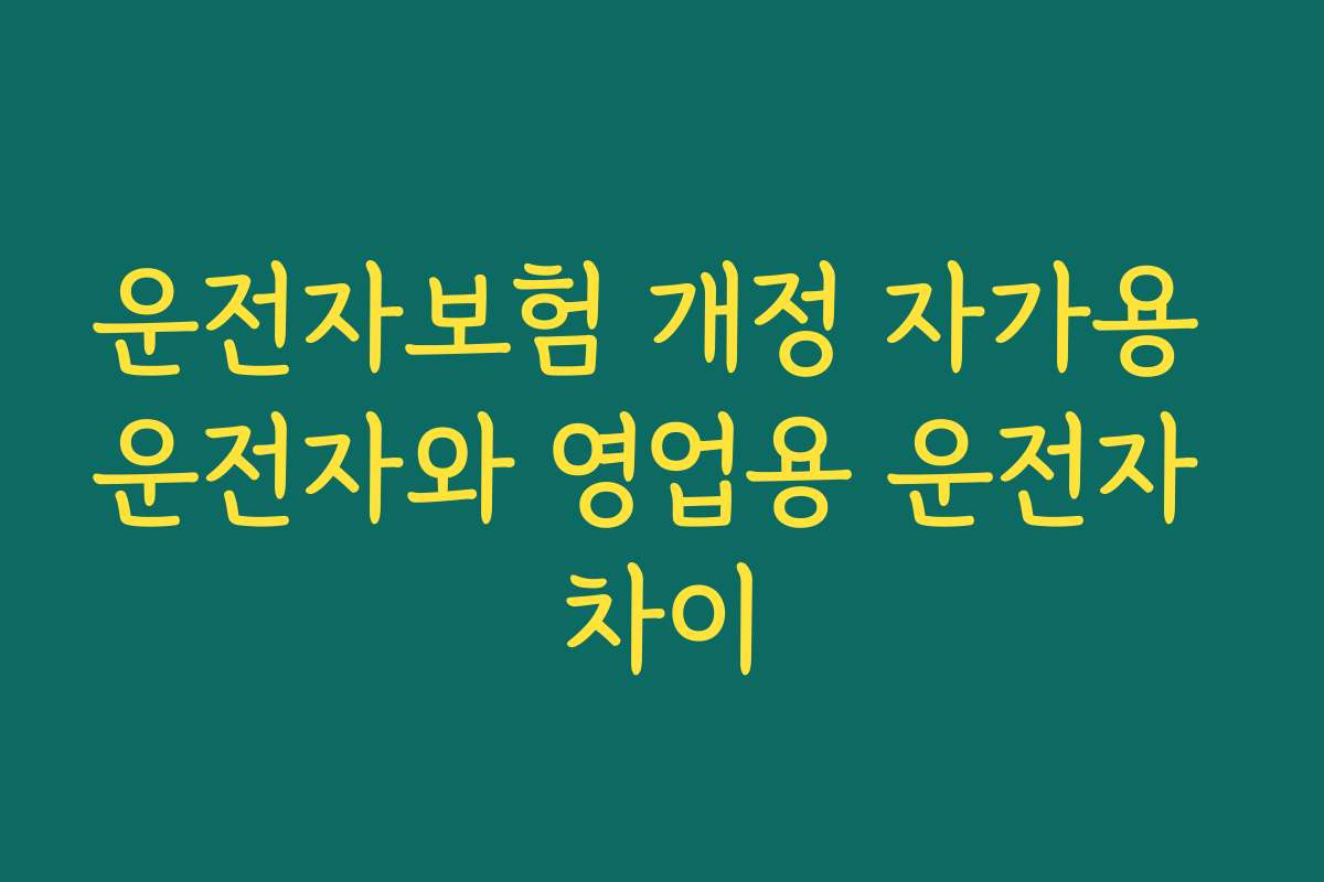 운전자보험 개정 자가용 운전자와 영업용 운전자 차이