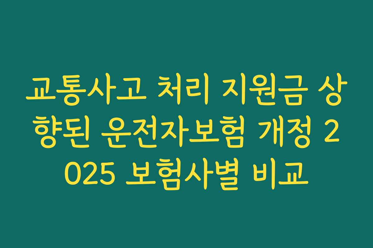 교통사고 처리 지원금 상향된 운전자보험 개정 2025 보험사별 비교