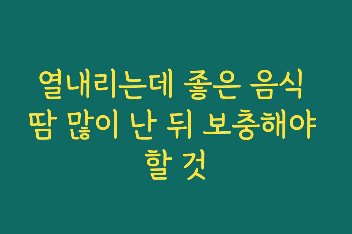 열내리는데 좋은 음식 땀 많이 난 뒤 보충해야 할 것