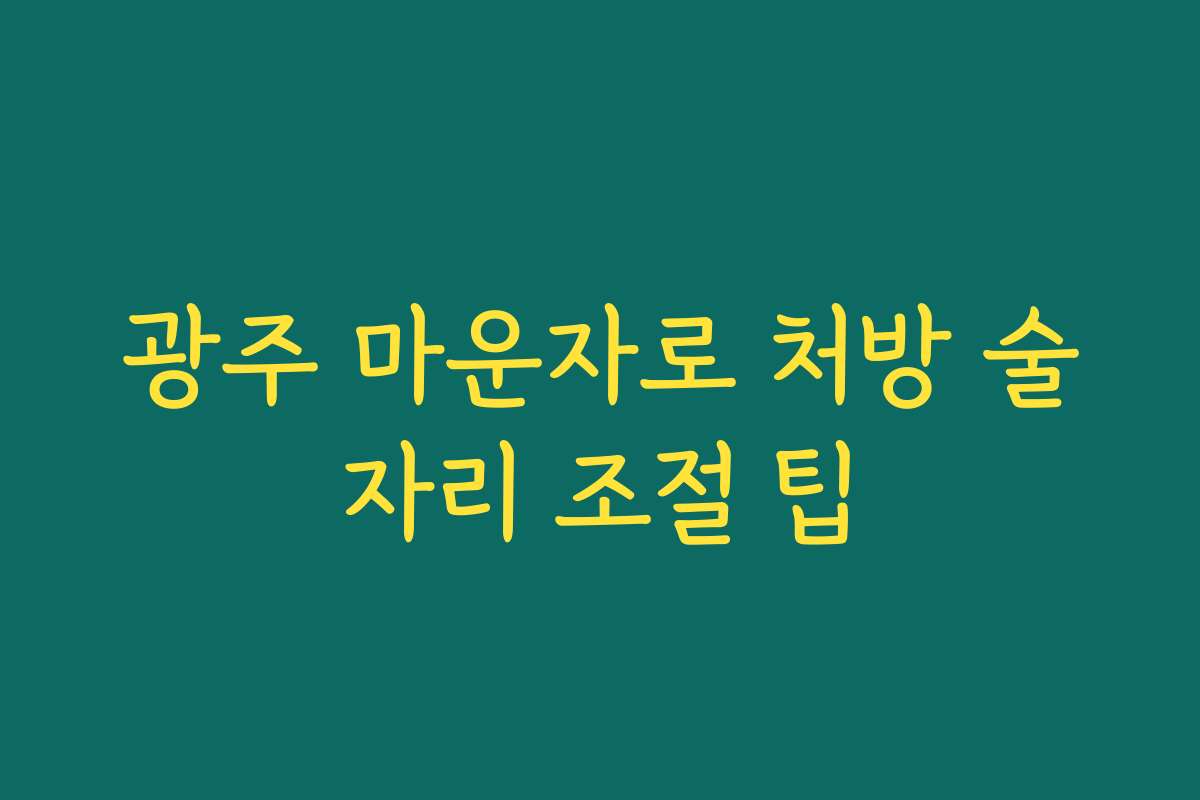 광주 마운자로 처방 술자리 조절 팁