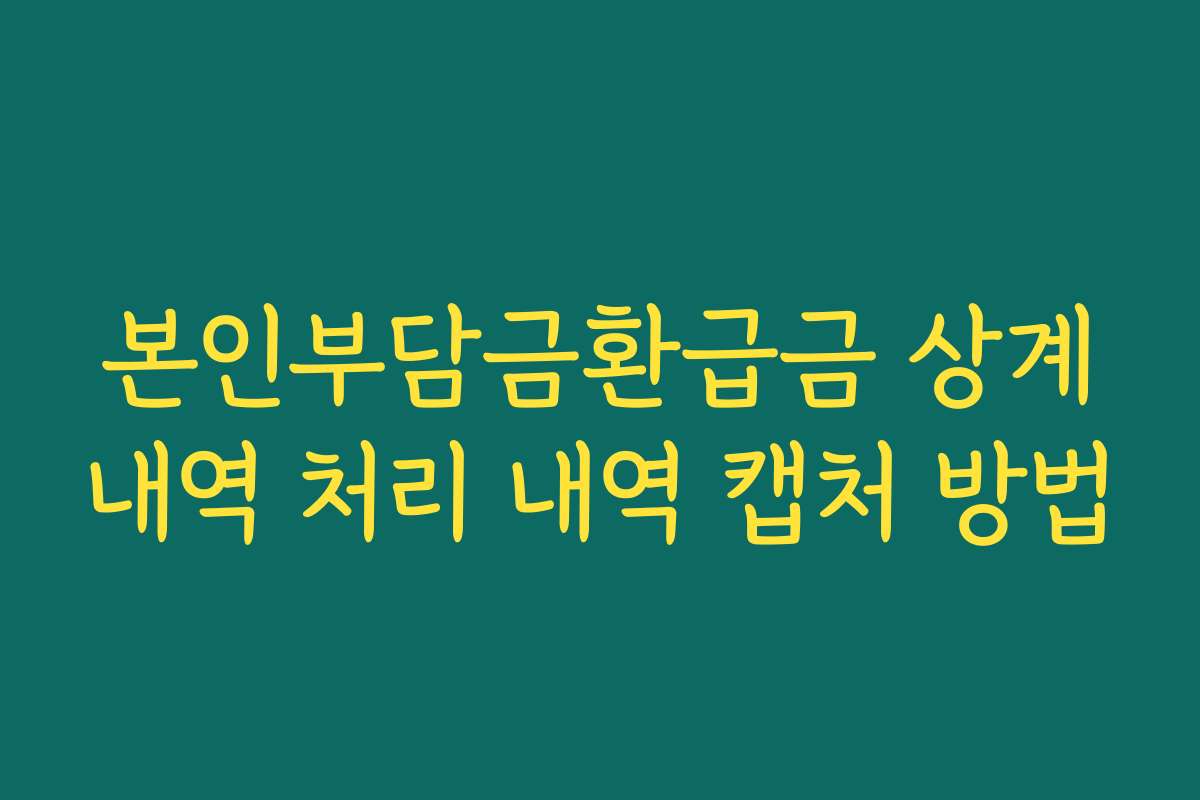 본인부담금환급금 상계내역 처리 내역 캡처 방법