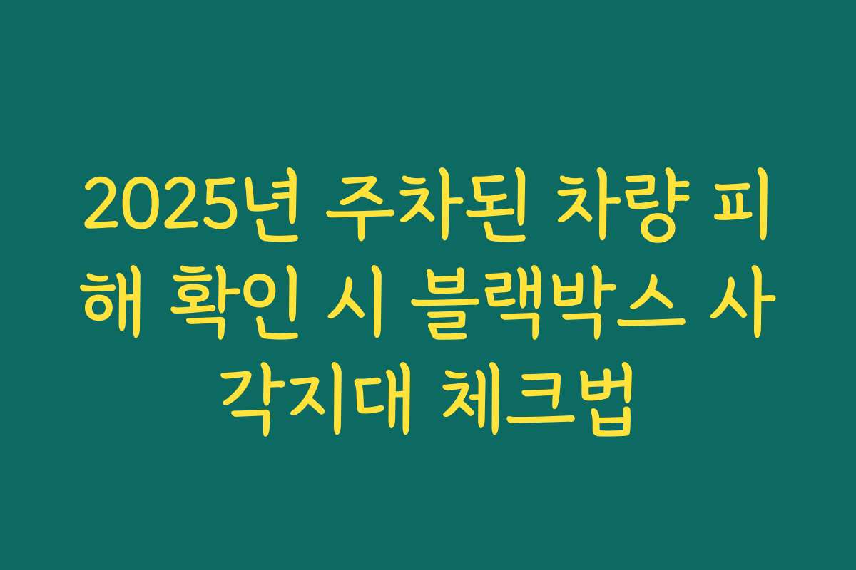 2025년 주차된 차량 피해 확인 시 블랙박스 사각지대 체크법