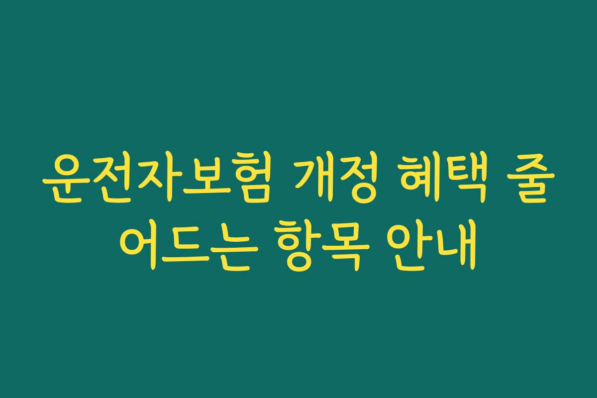 운전자보험 개정 혜택 줄어드는 항목 안내
