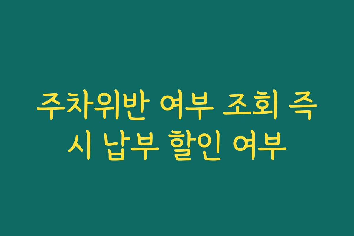 주차위반 여부 조회 즉시 납부 할인 여부