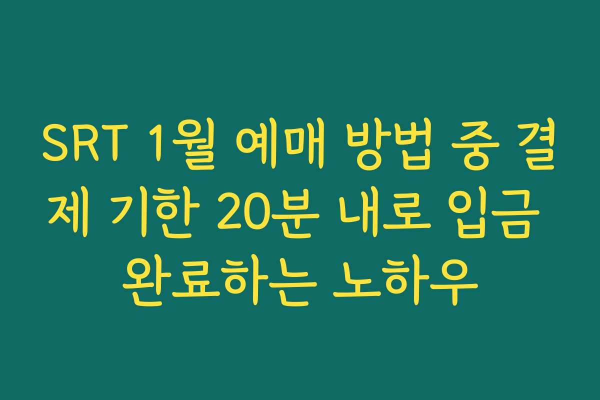 SRT 1월 예매 방법 중 결제 기한 20분 내로 입금 완료하는 노하우