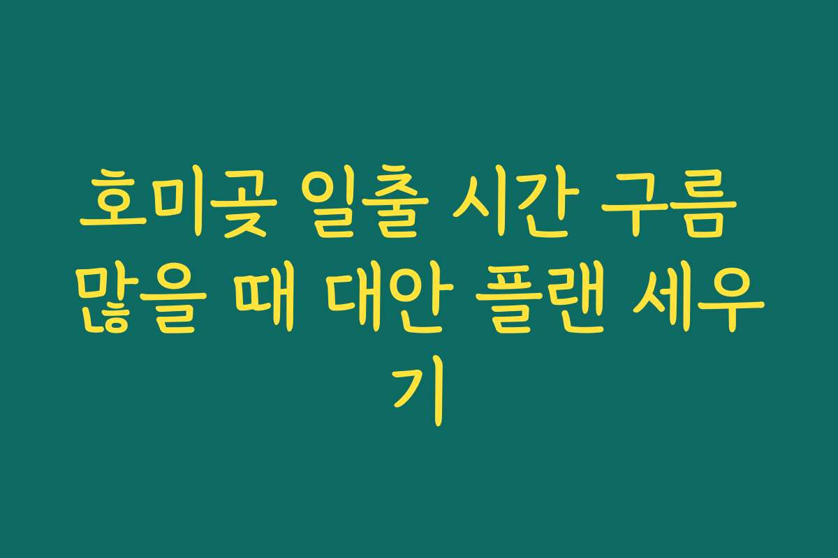 호미곶 일출 시간 구름 많을 때 대안 플랜 세우기