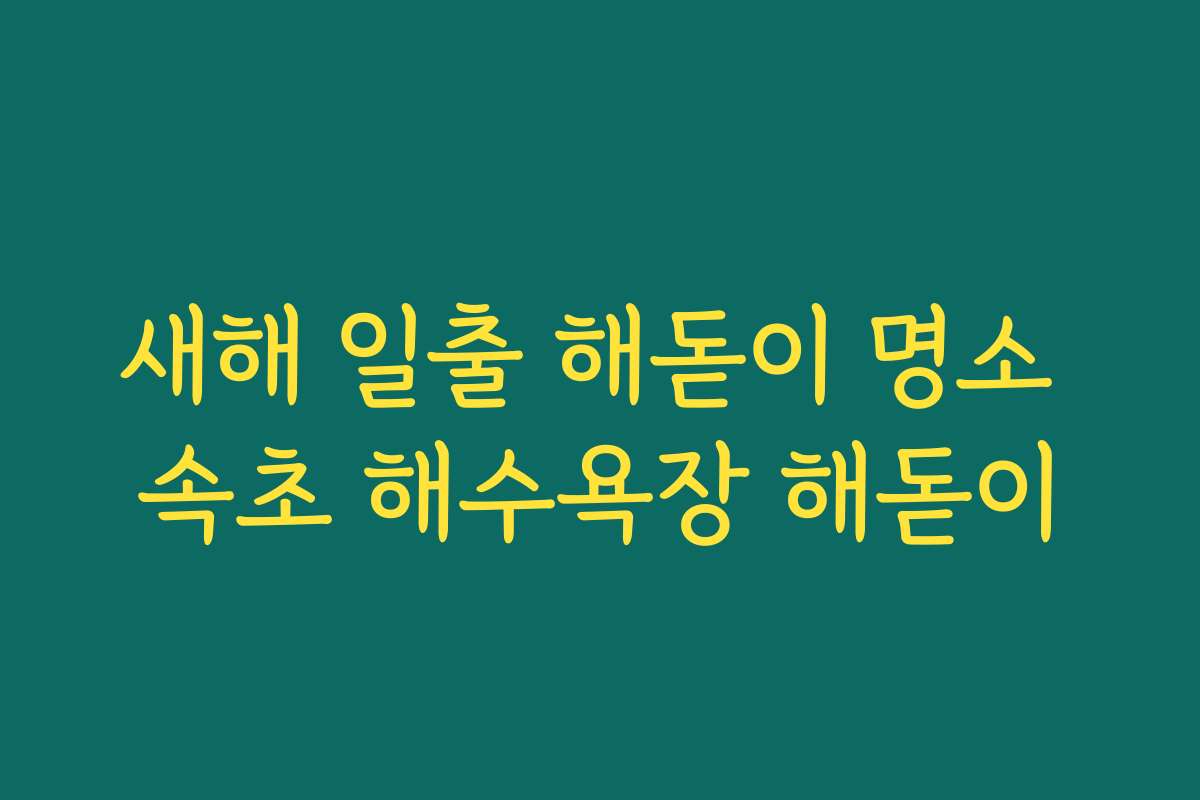 새해 일출 해돋이 명소 속초 해수욕장 해돋이