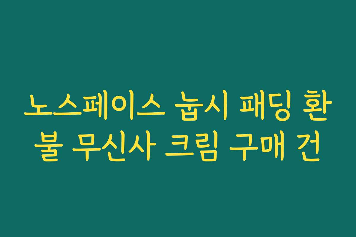 노스페이스 눕시 패딩 환불 무신사 크림 구매 건