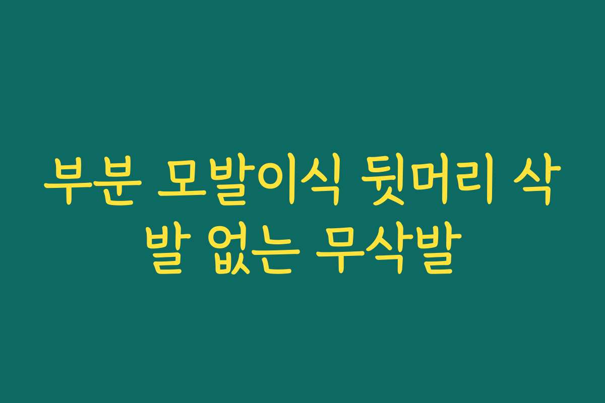 부분 모발이식 뒷머리 삭발 없는 무삭발