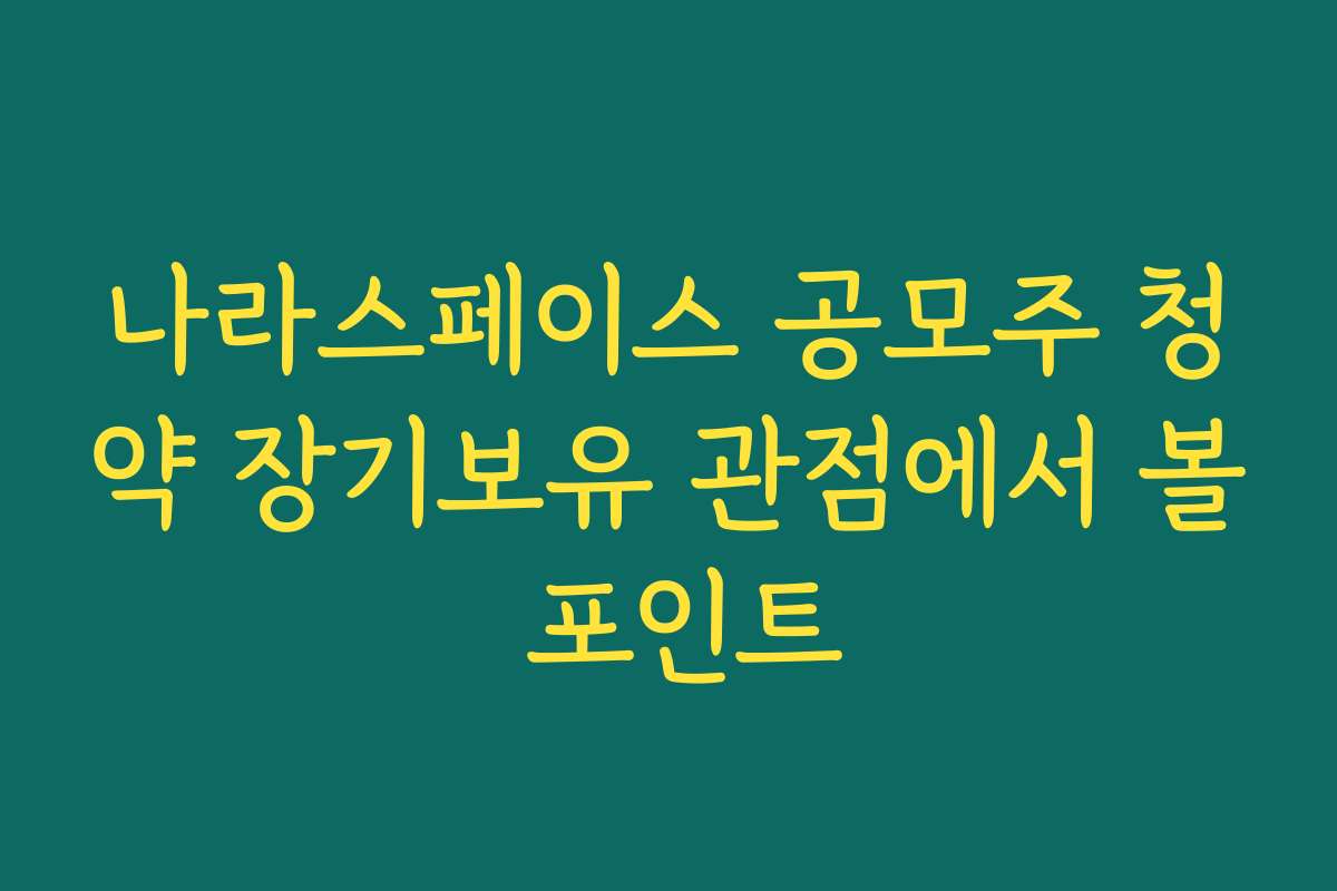 나라스페이스 공모주 청약 장기보유 관점에서 볼 포인트