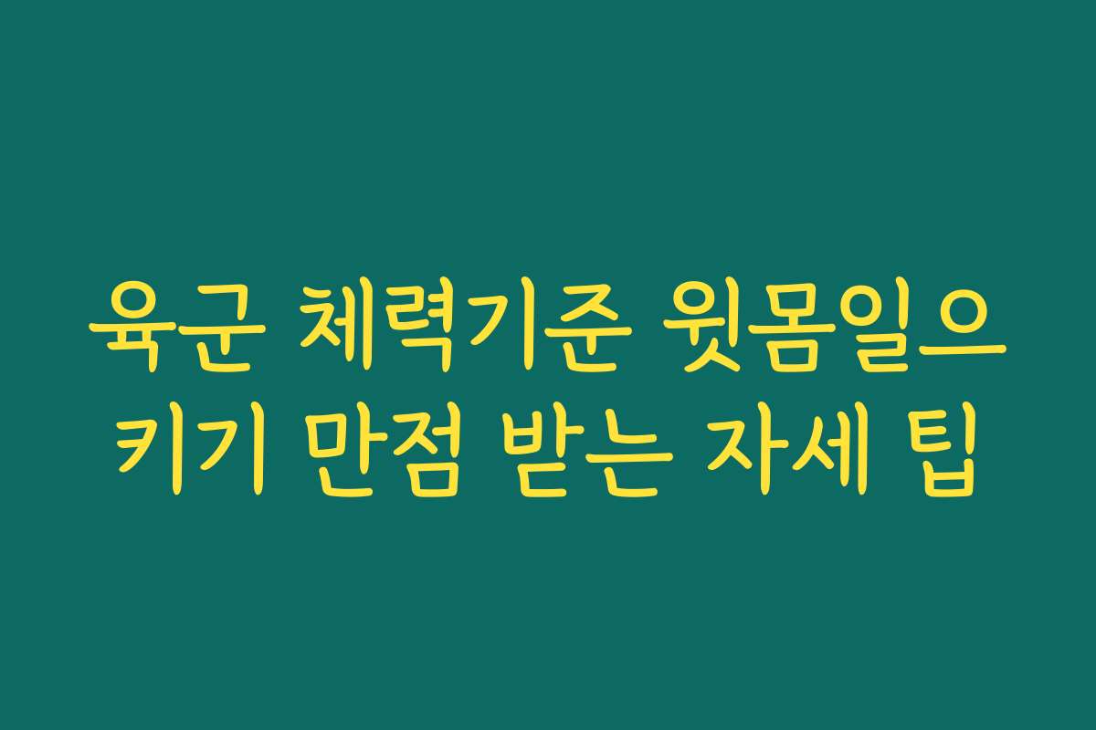 육군 체력기준 윗몸일으키기 만점 받는 자세 팁