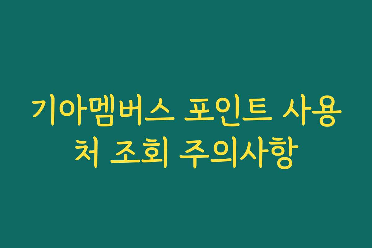기아멤버스 포인트 사용처 조회 주의사항