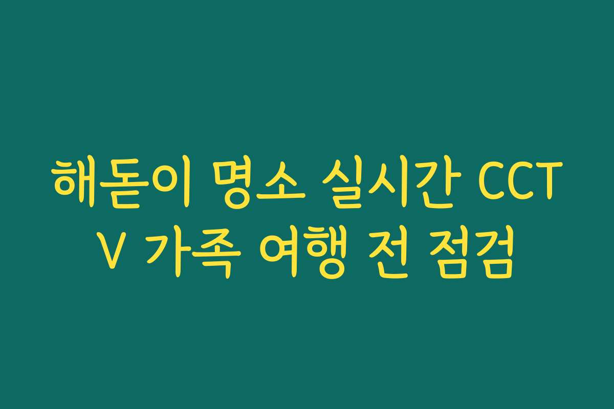 해돋이 명소 실시간 CCTV 가족 여행 전 점검