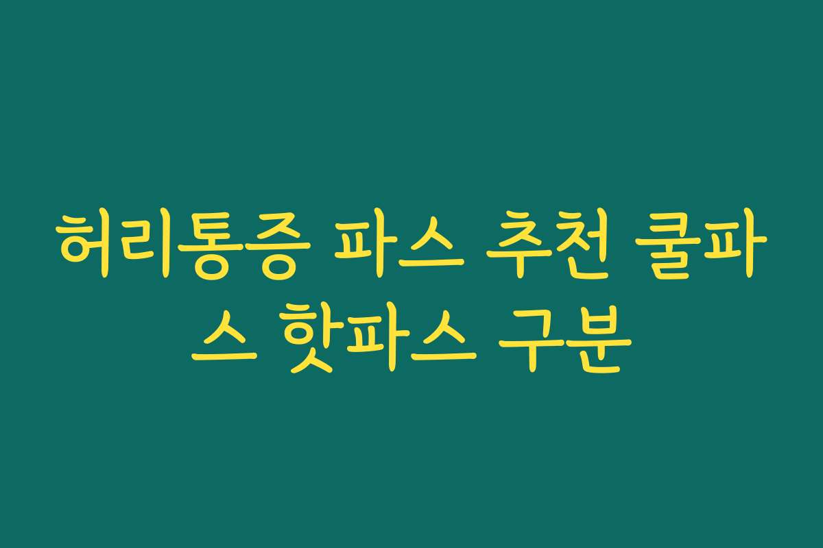 허리통증 파스 추천 쿨파스 핫파스 구분