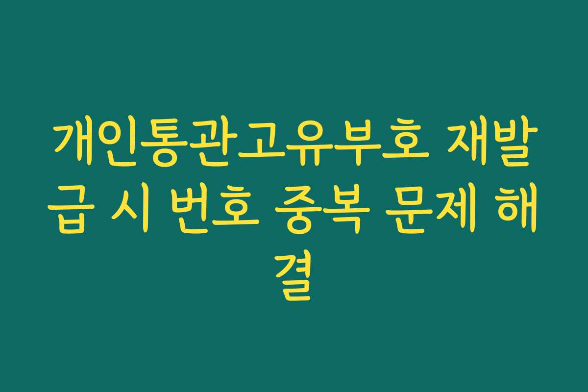 개인통관고유부호 재발급 시 번호 중복 문제 해결