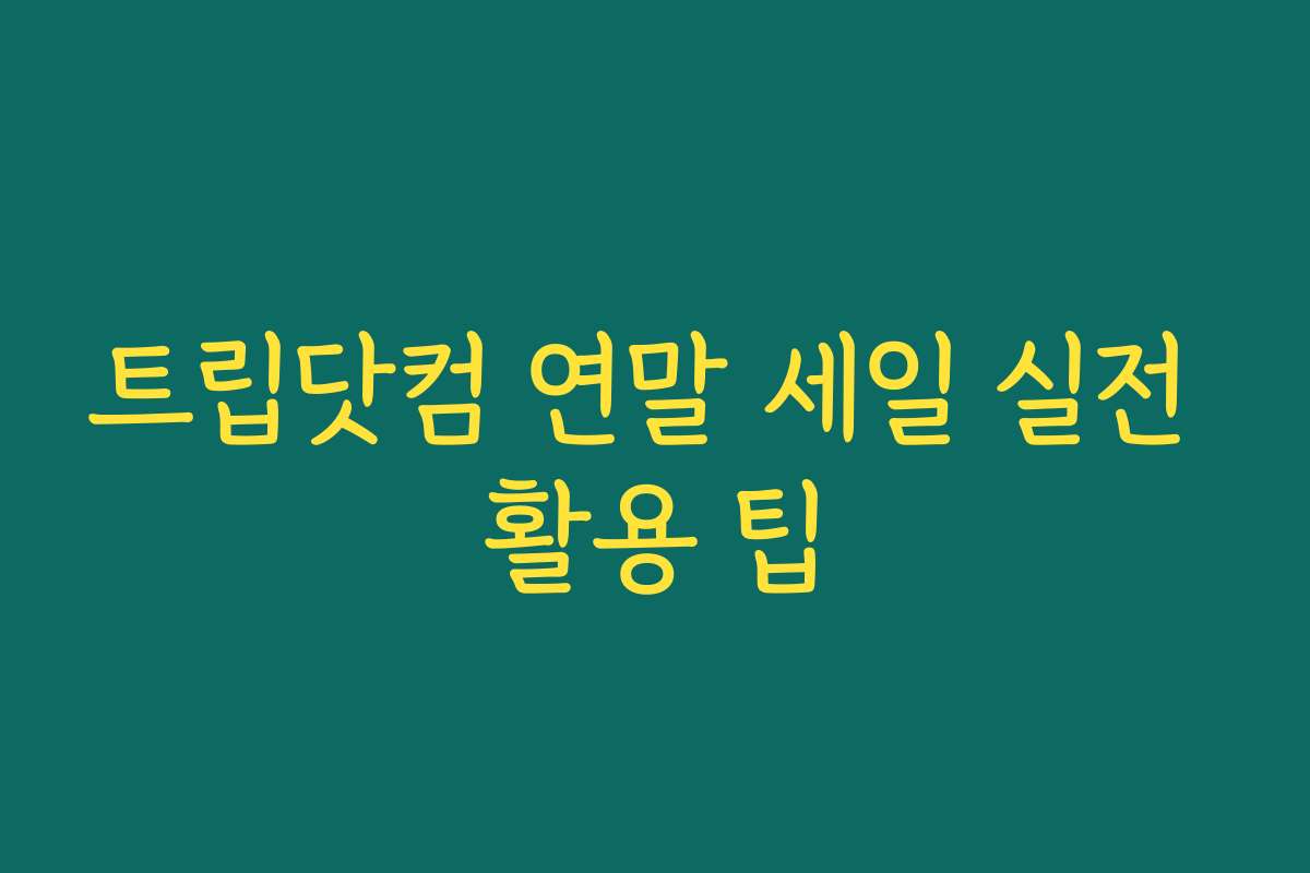 트립닷컴 연말 세일 실전 활용 팁