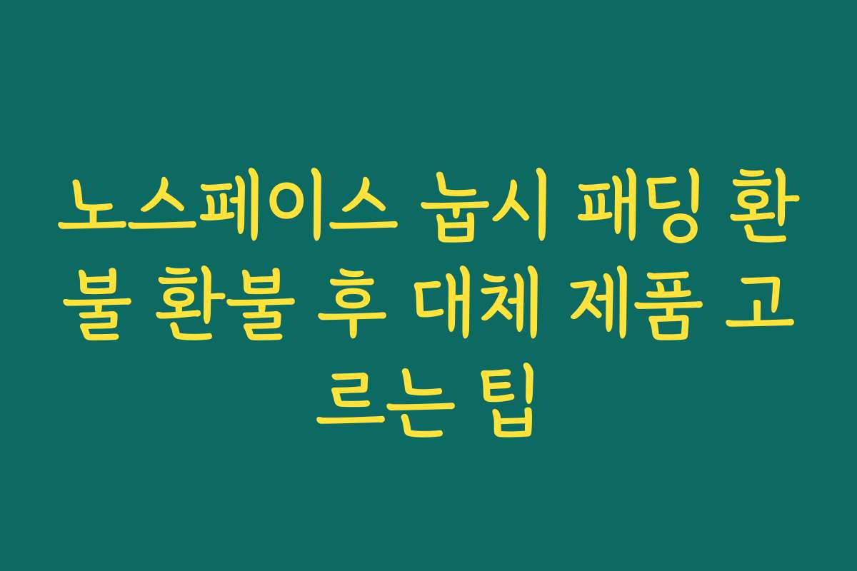 노스페이스 눕시 패딩 환불 환불 후 대체 제품 고르는 팁