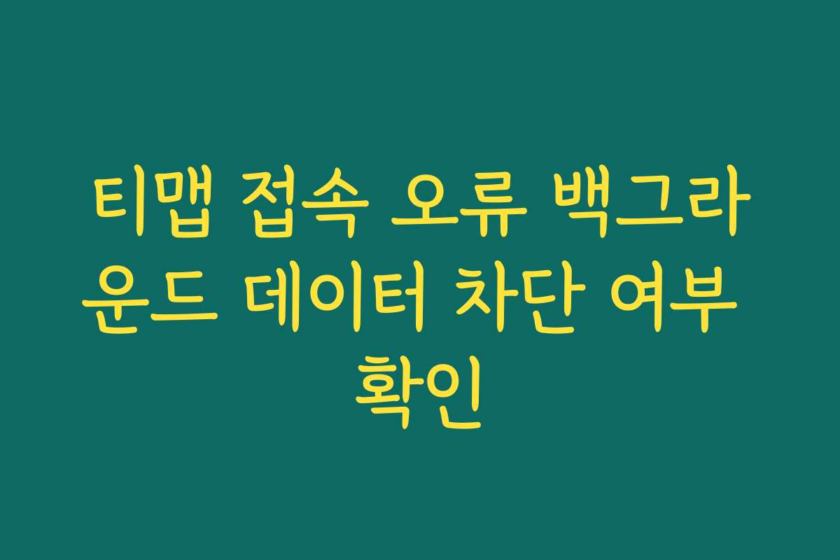 티맵 접속 오류 백그라운드 데이터 차단 여부 확인