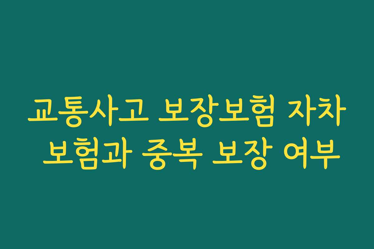 교통사고 보장보험 자차 보험과 중복 보장 여부