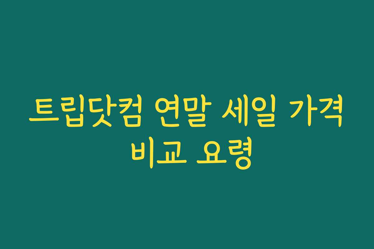 트립닷컴 연말 세일 가격 비교 요령