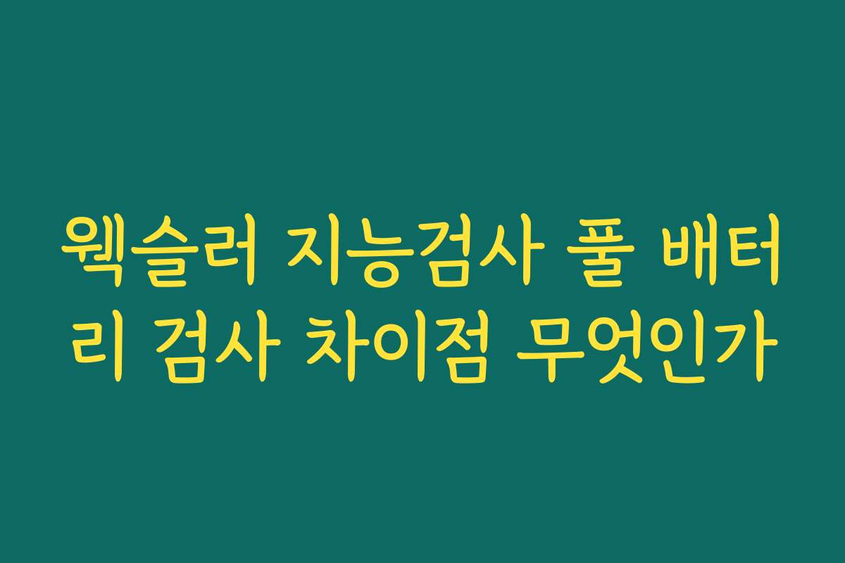 웩슬러 지능검사 풀 배터리 검사 차이점 무엇인가
