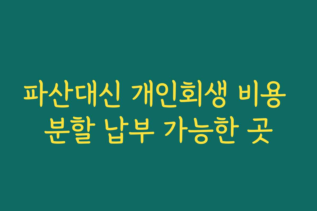 파산대신 개인회생 비용 분할 납부 가능한 곳