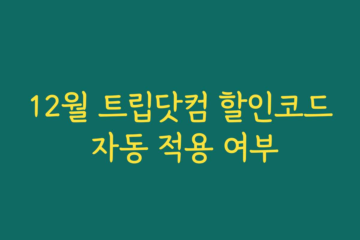 12월 트립닷컴 할인코드 자동 적용 여부