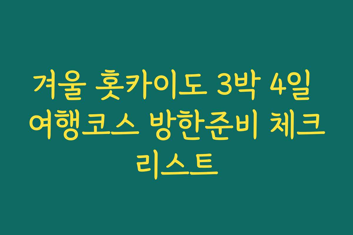 겨울 홋카이도 3박 4일 여행코스 방한준비 체크리스트
