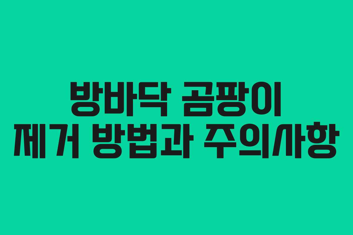 방바닥 곰팡이 제거 방법과 주의사항