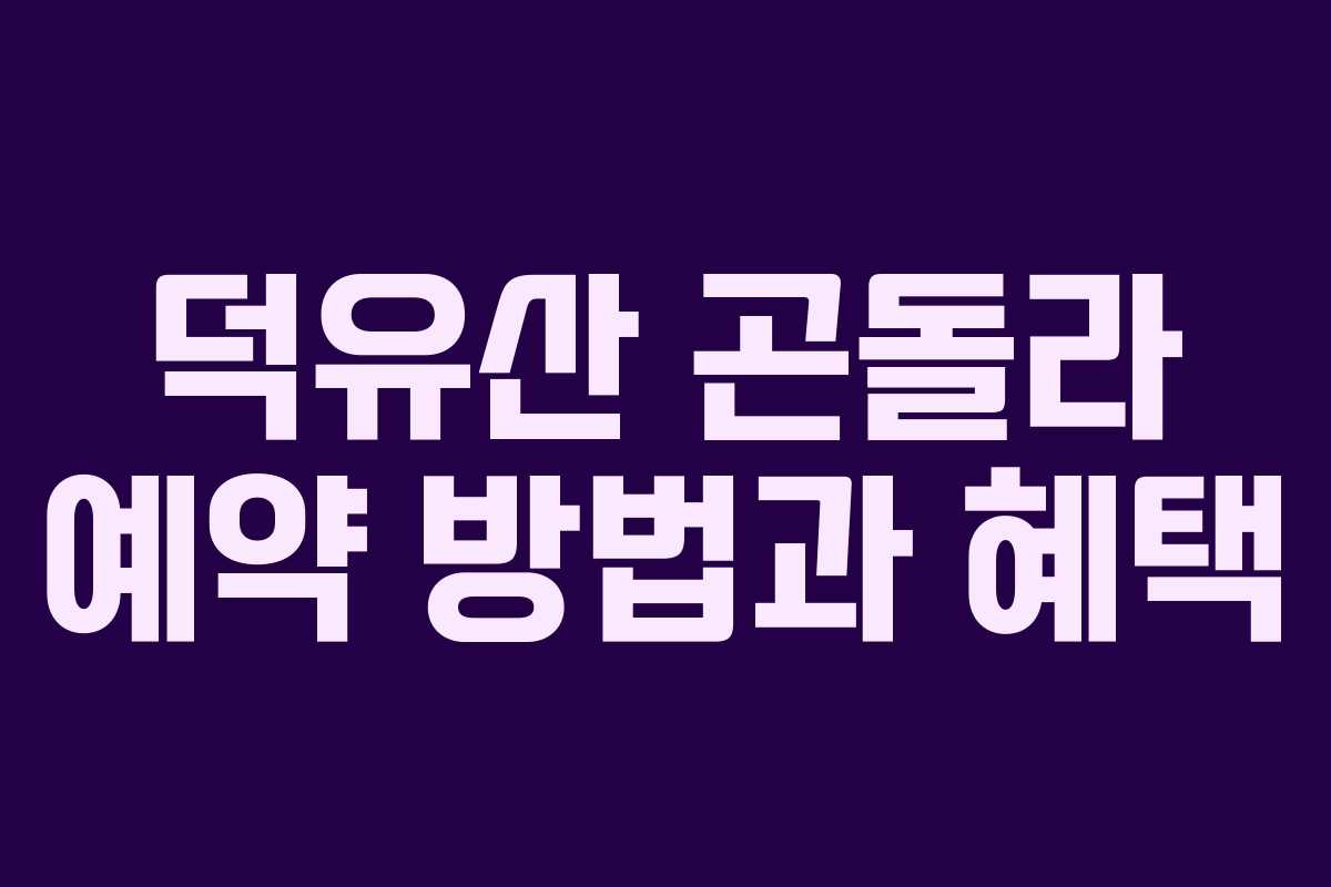덕유산 곤돌라 예약 방법과 혜택
