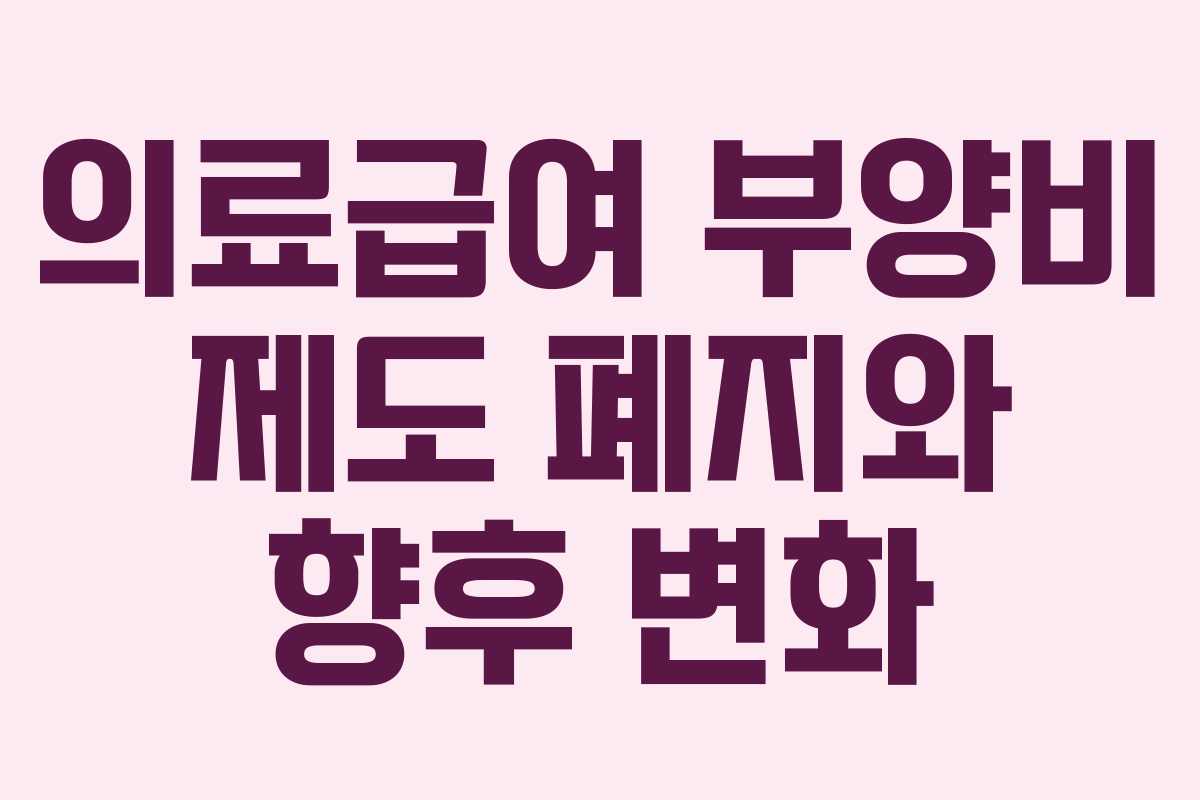 의료급여 부양비 제도 폐지와 향후 변화