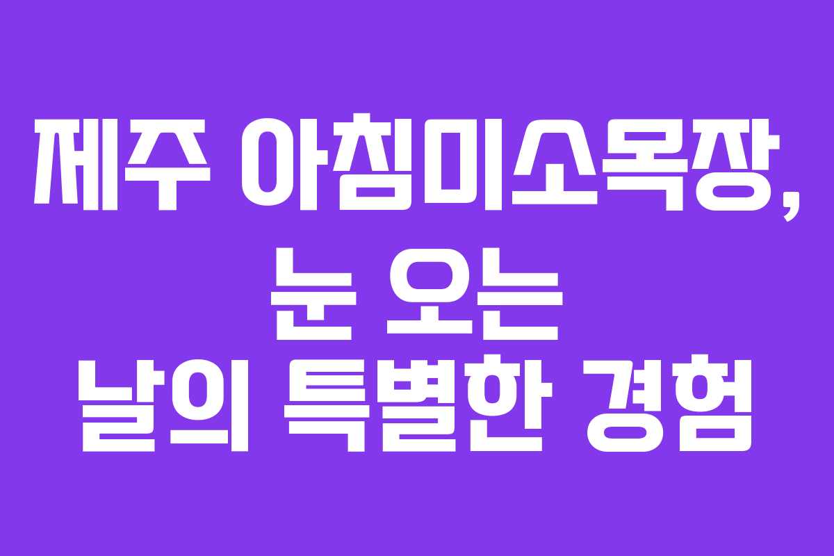 제주 아침미소목장, 눈 오는 날의 특별한 경험
