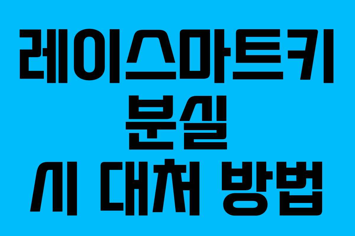 레이스마트키 분실 시 대처 방법