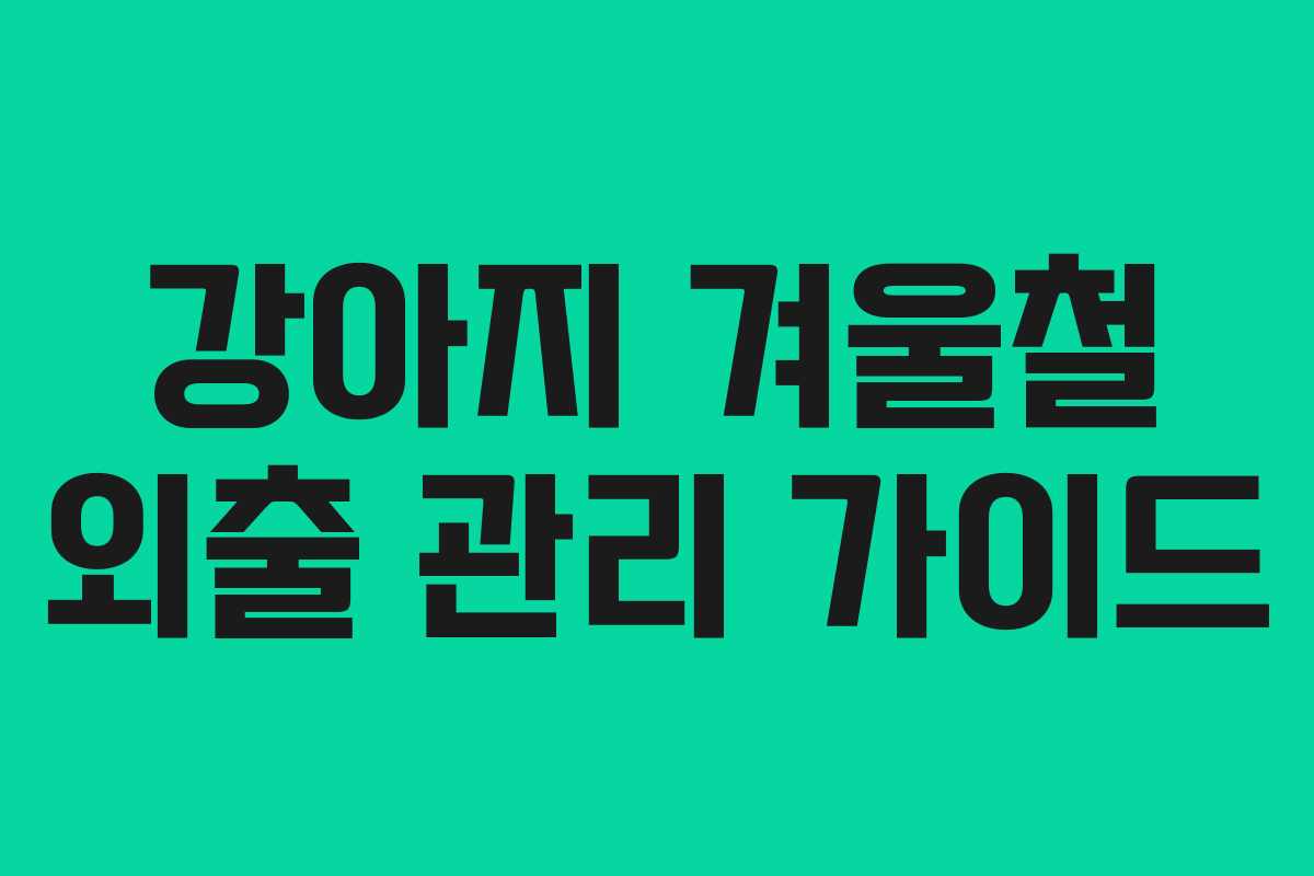 강아지 겨울철 외출 관리 가이드