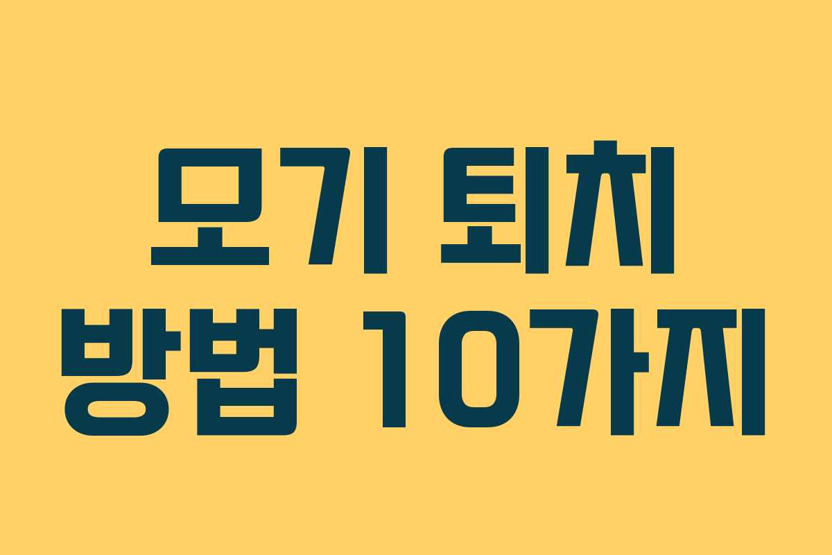 모기 퇴치 방법 10가지