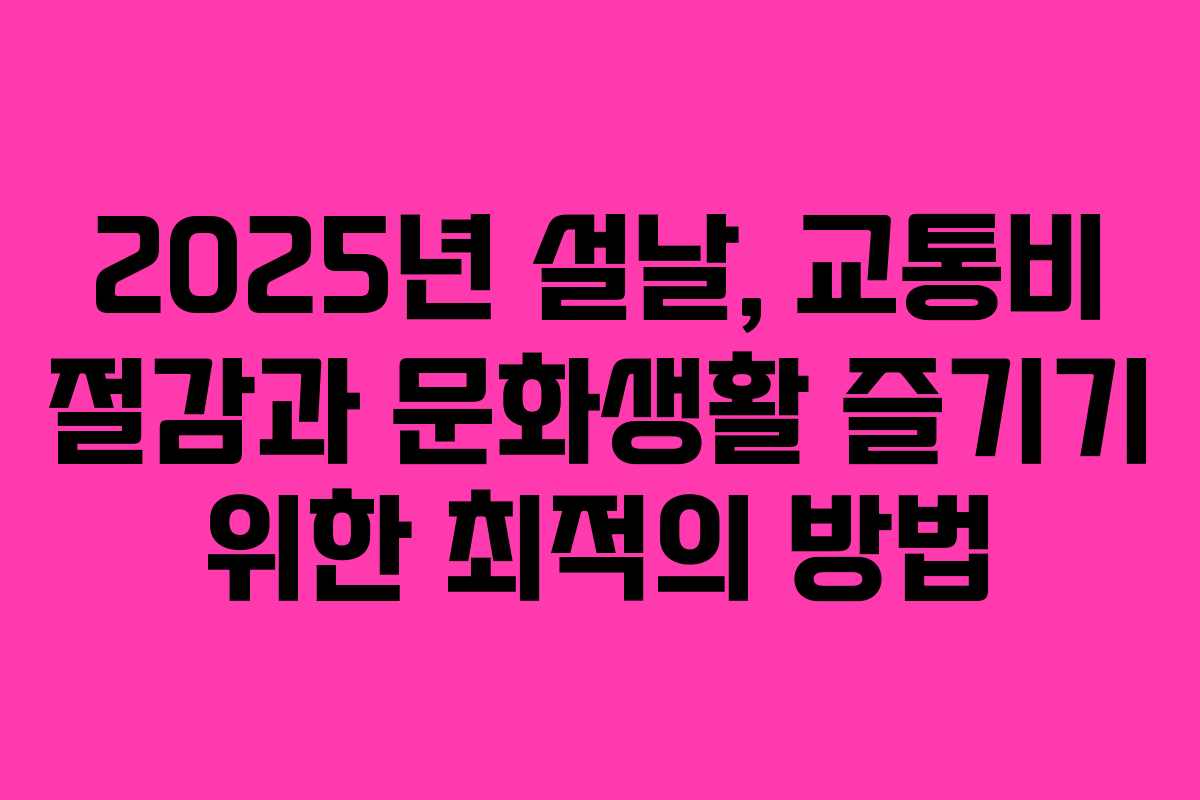 2025년 설날, 교통비 절감과 문화생활 즐기기 위한 최적의 방법