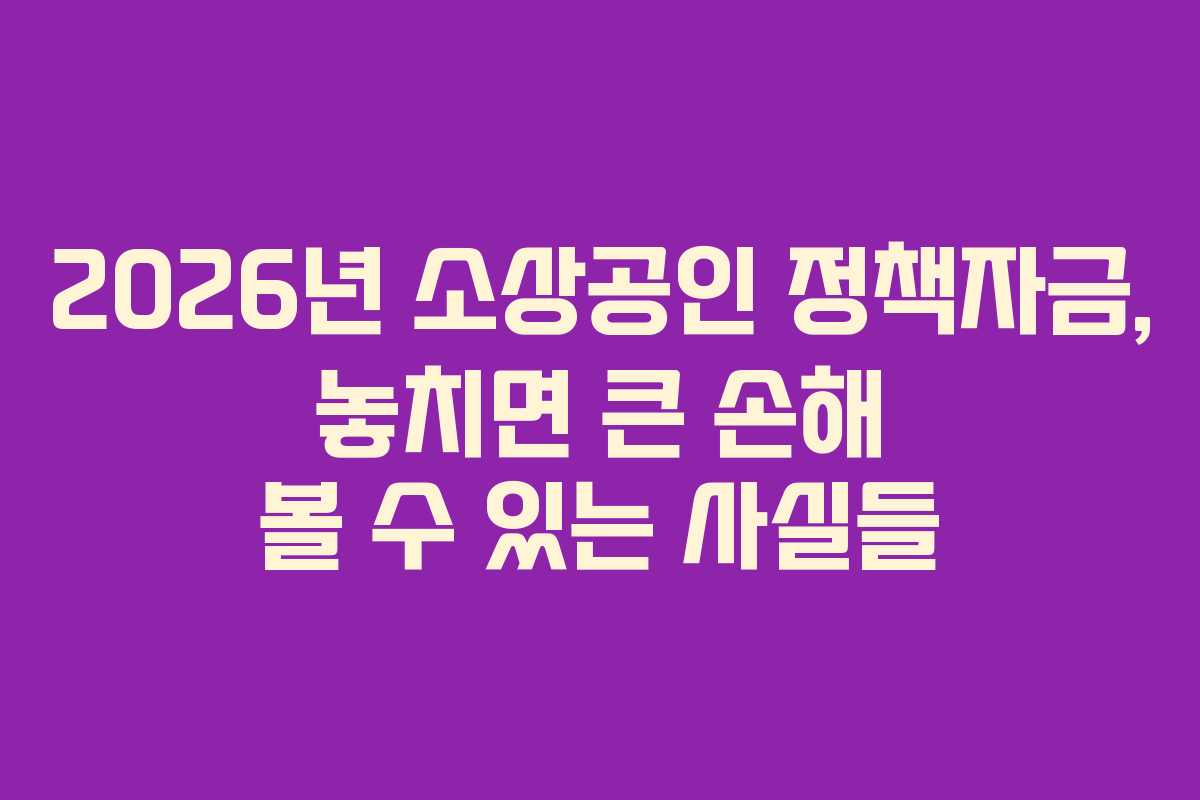 2026년 소상공인 정책자금, 놓치면 큰 손해 볼 수 있는 사실들