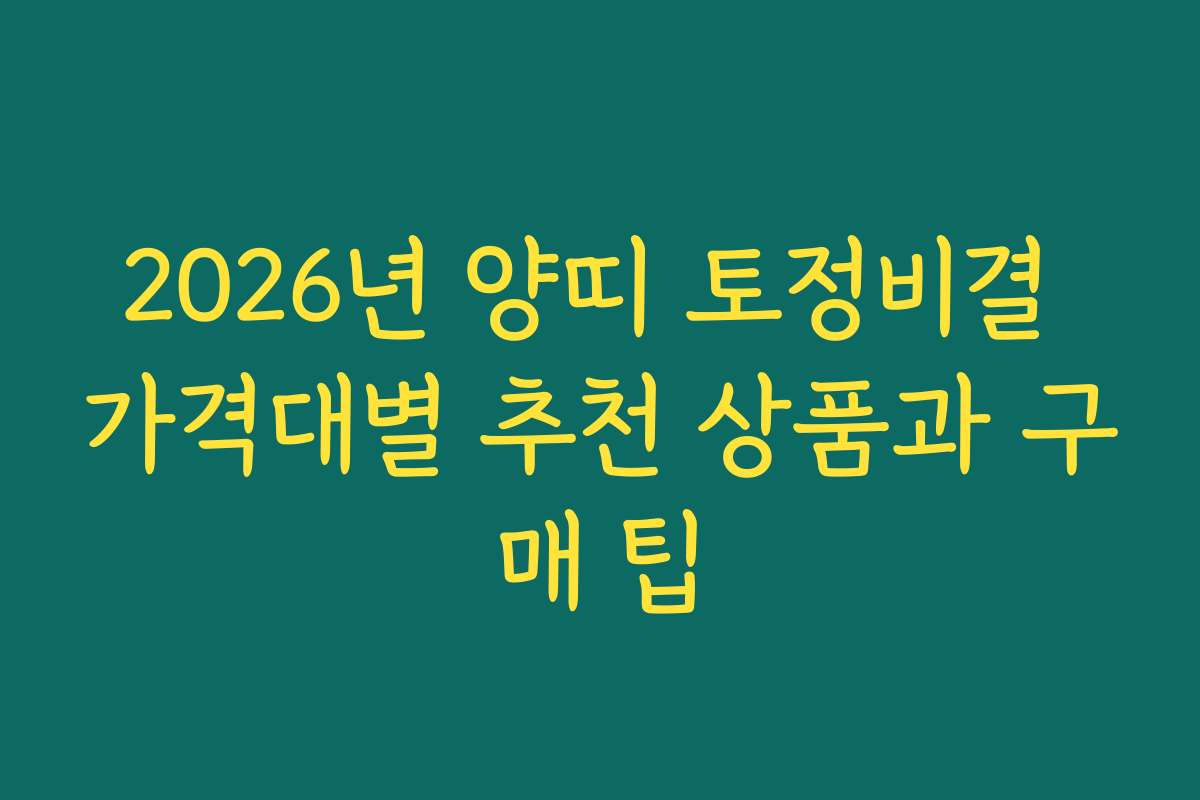 2026년 양띠 토정비결 가격대별 추천 상품과 구매 팁