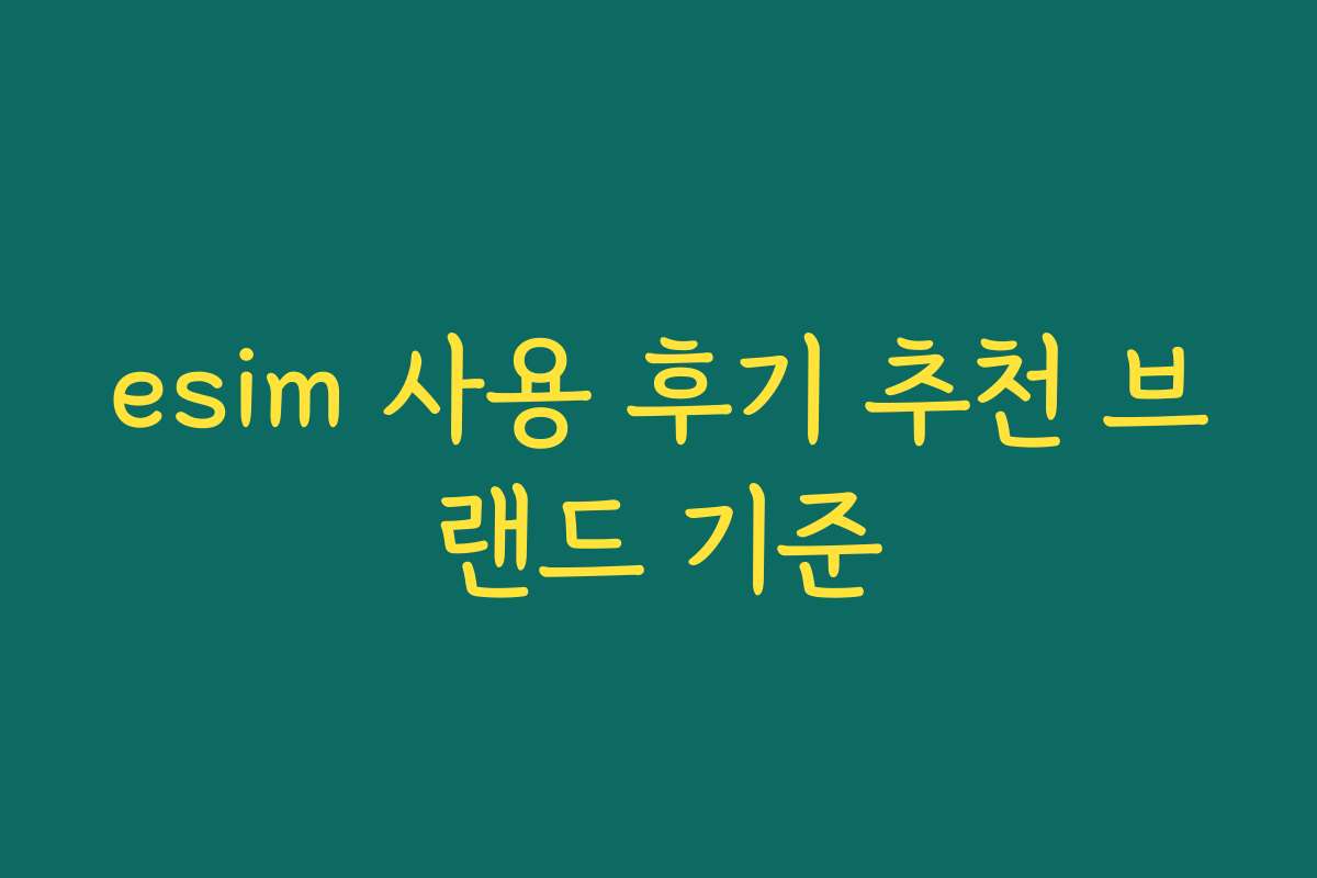 esim 사용 후기 추천 브랜드 기준