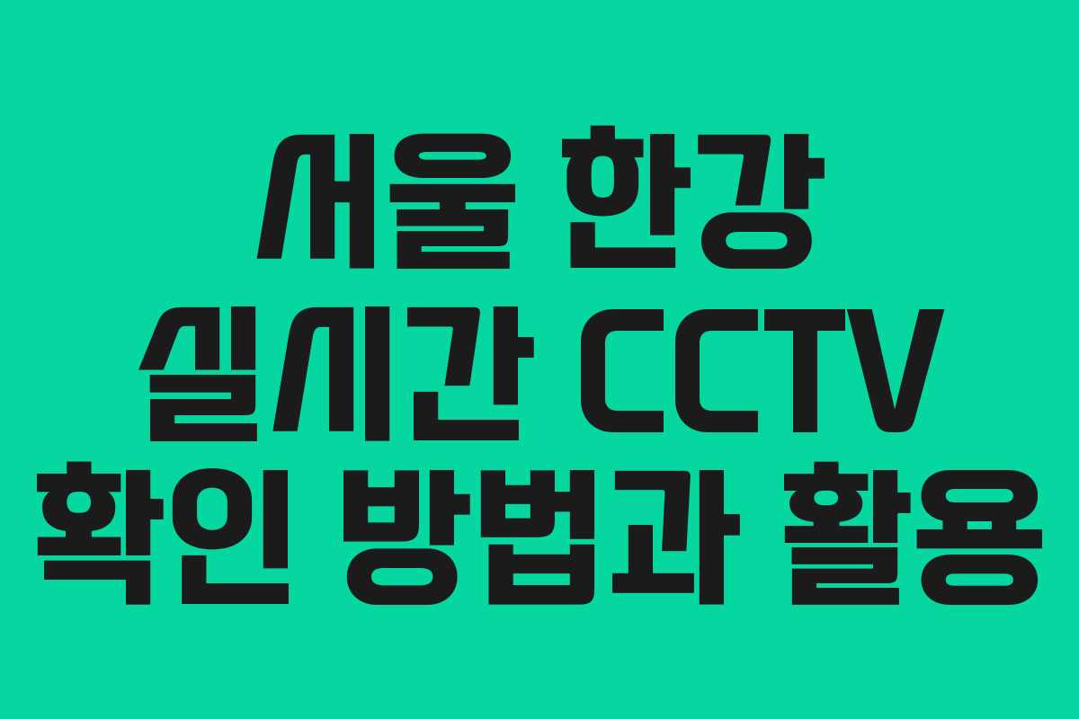 서울 한강 실시간 CCTV 확인 방법과 활용