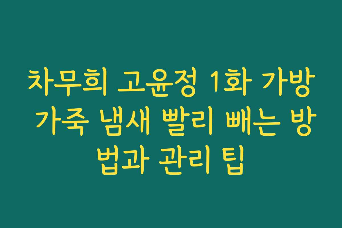 차무희 고윤정 1화 가방 가죽 냄새 빨리 빼는 방법과 관리 팁