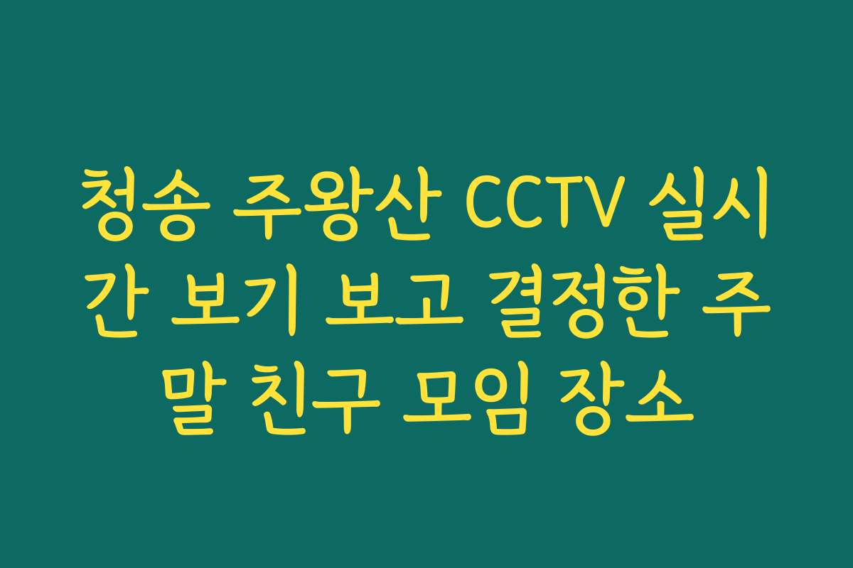 청송 주왕산 CCTV 실시간 보기 보고 결정한 주말 친구 모임 장소