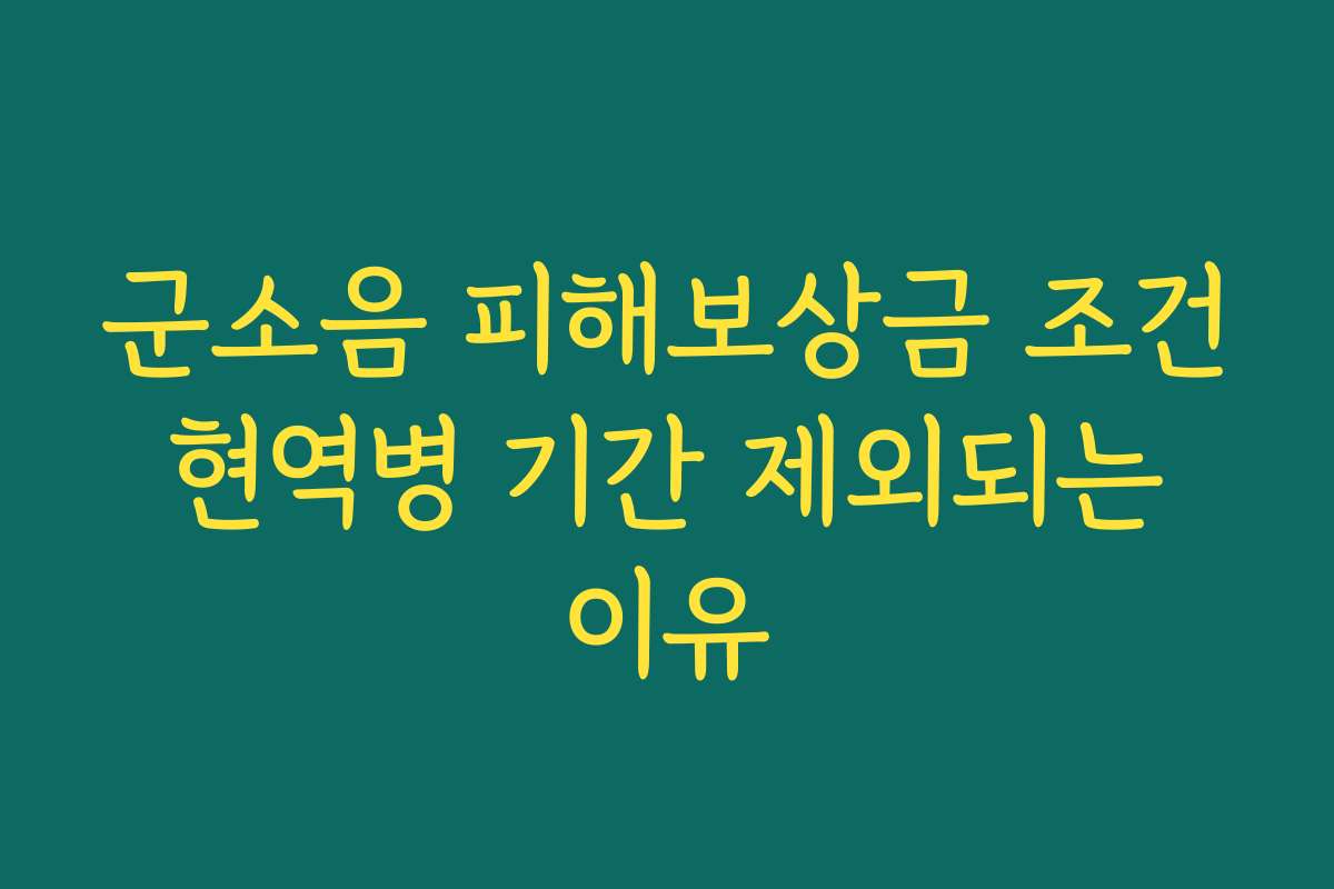 군소음 피해보상금 조건 현역병 기간 제외되는 이유